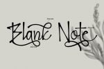 Blank Note - Ink Handwritten