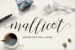 20 Fabulous Handwritten Font
