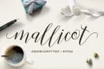 20 Fabulous Handwritten Font