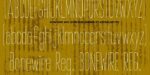 Bonewire Font Family