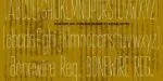 Bonewire Font Family