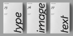 Spectators Headline Font Family