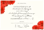 Awesawez Script Font