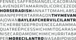 Klavika Font Family