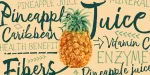 Tropical Font