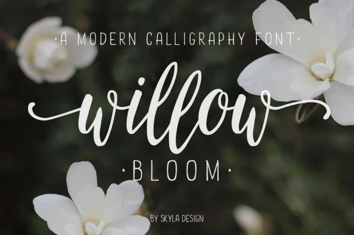 Modern Calligraphy Font Willow Bloom