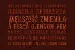 Zenzero Grotesk