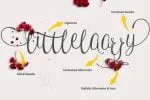Grandymaa Typeface + Swashs