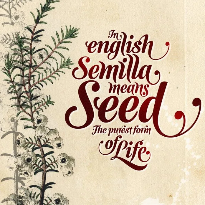 Semilla Font