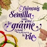 Semilla Font