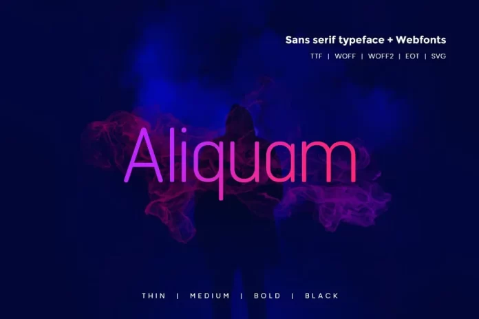 Aliquam - Modern Typeface + WebFonts