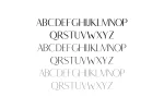 Berton Sans Serif Font Family Pack Font
