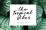 Charlotta Handwritten Script Font