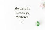 Ethan Serif Font Family Font