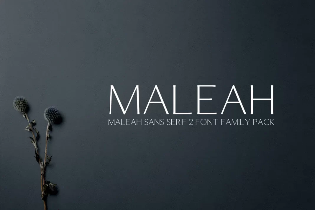 Maleah Sans Serif Font