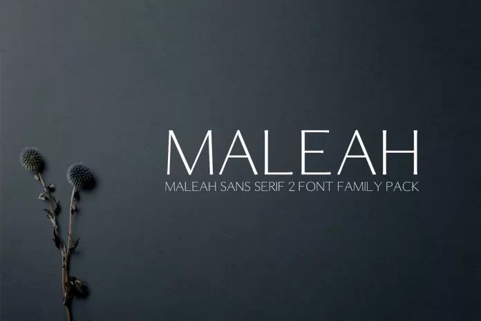 Maleah Sans Serif Font