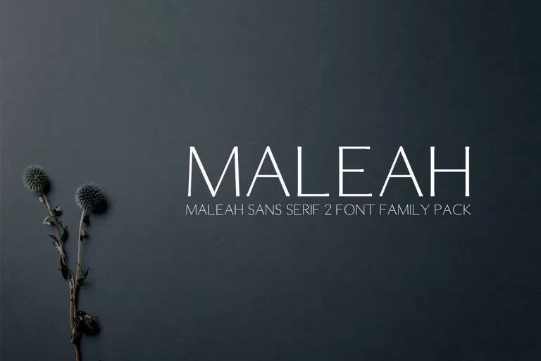 Maleah Sans Serif Font