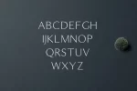 Maleah Sans Serif Font