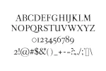 Moisses Serif Font Family Pack Font