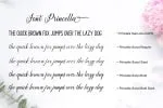 Princella Script Font