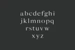 Sharis Serif 7 Font Family Pack Font