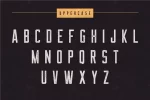 The Farmer Font Condensed Typeface Font