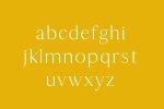 Thomas Mag Serif Font Family Pack Font