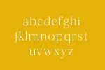 Thomas Mag Serif Font Family Pack Font
