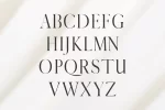 Warick Serif Font Family
