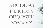 Ammar A Modern Serif Font