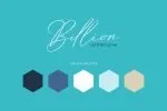 Billion Script + Webfont