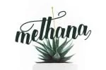 Botthanie Font
