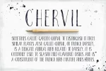 Chervil hand lettering Font