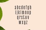Galvin Slab Serif Font