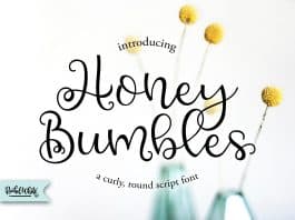 Honey Bumbles a Curly Round Script