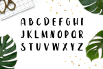 Leira Extended Hand Drawn Brush Font