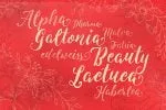 Levitte Script Font