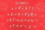 Levitte Script Font