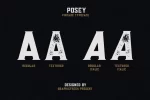 Posey - Vintage Type - 4 Font Files Font