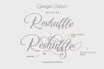 Reshuffle Script Font Set