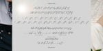 Shanti Script Font