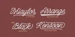 Shepia Script Font
