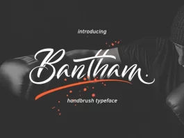 Bantham Handbrush Font