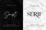 Prestige Signature Script Font