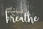 Shorthalt Font