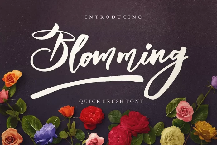 Blomming - Brush Font