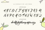 Blomming - Brush Font