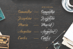 Fideally Font