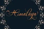 Millenial Script Font