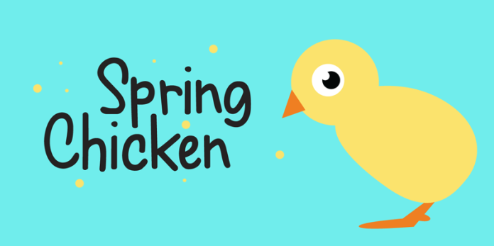 Spring Chicken Font Family - 2 Fonts